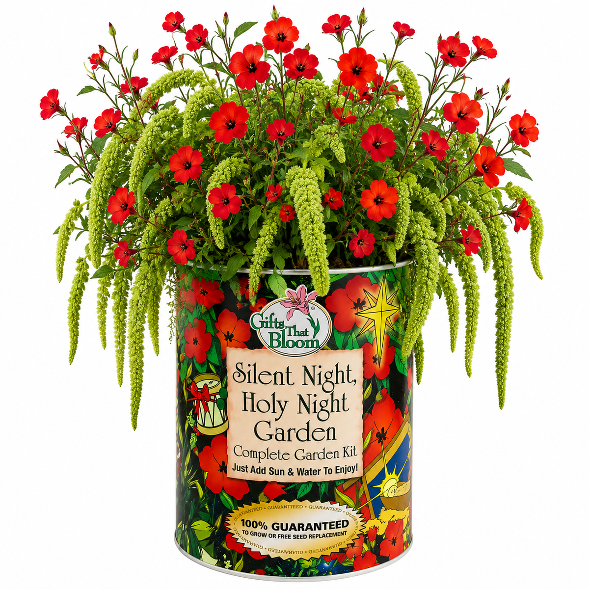 Silent Night, Holy Night Garden Grocan Seed Kit
