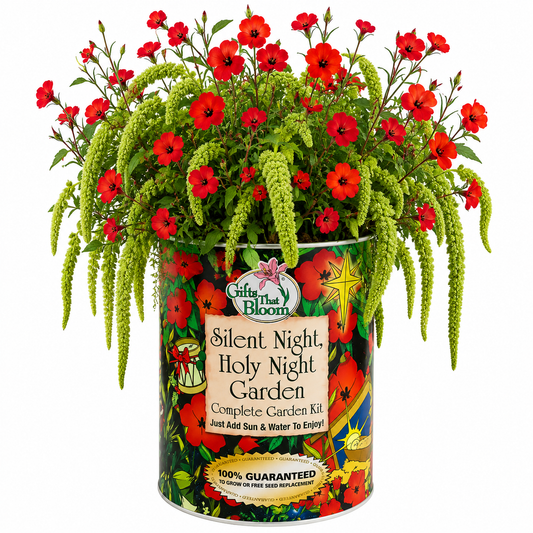 Silent Night, Holy Night Garden Grocan Seed Kit