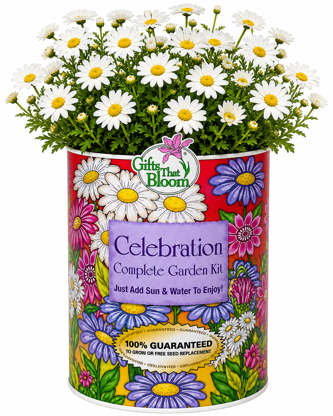 Celebration Garden Grocan Seed Kit