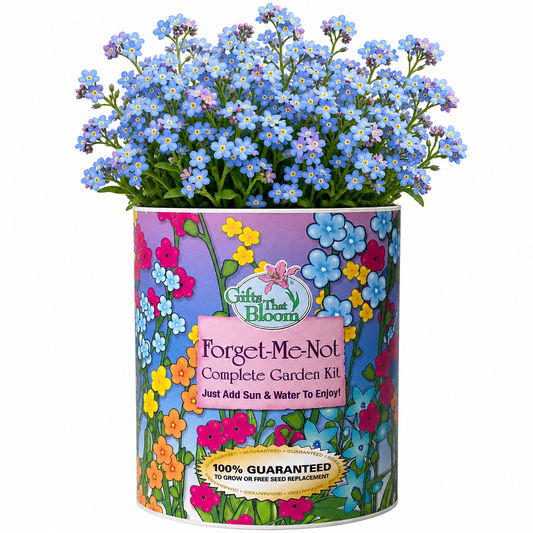 Forget-Me-Not Garden Grocan Seed Kit