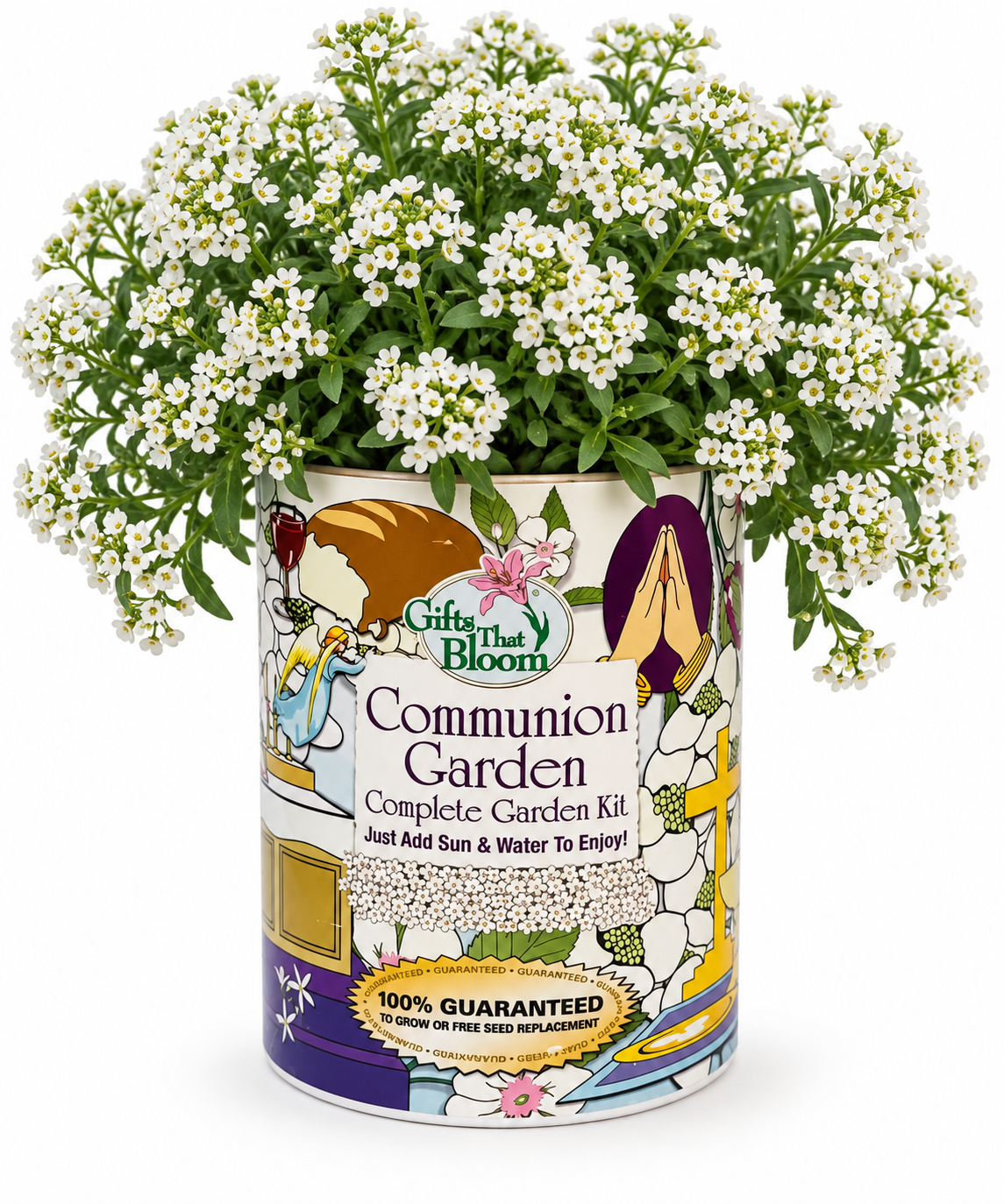 Communion Garden Grocan Seed Kit