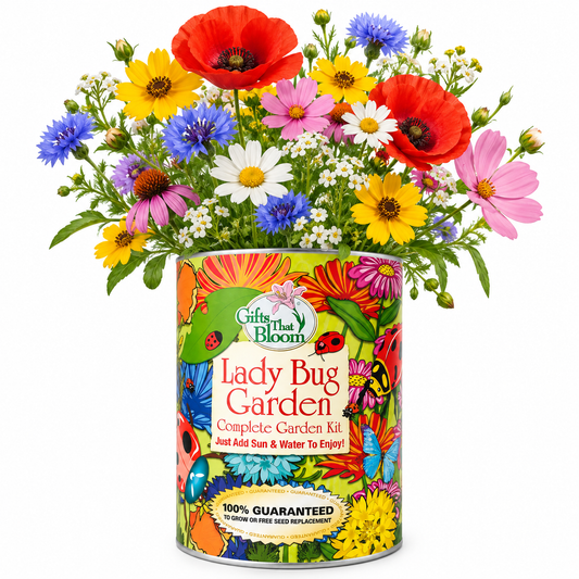 Lady Bug Garden Grocan Seed Kit