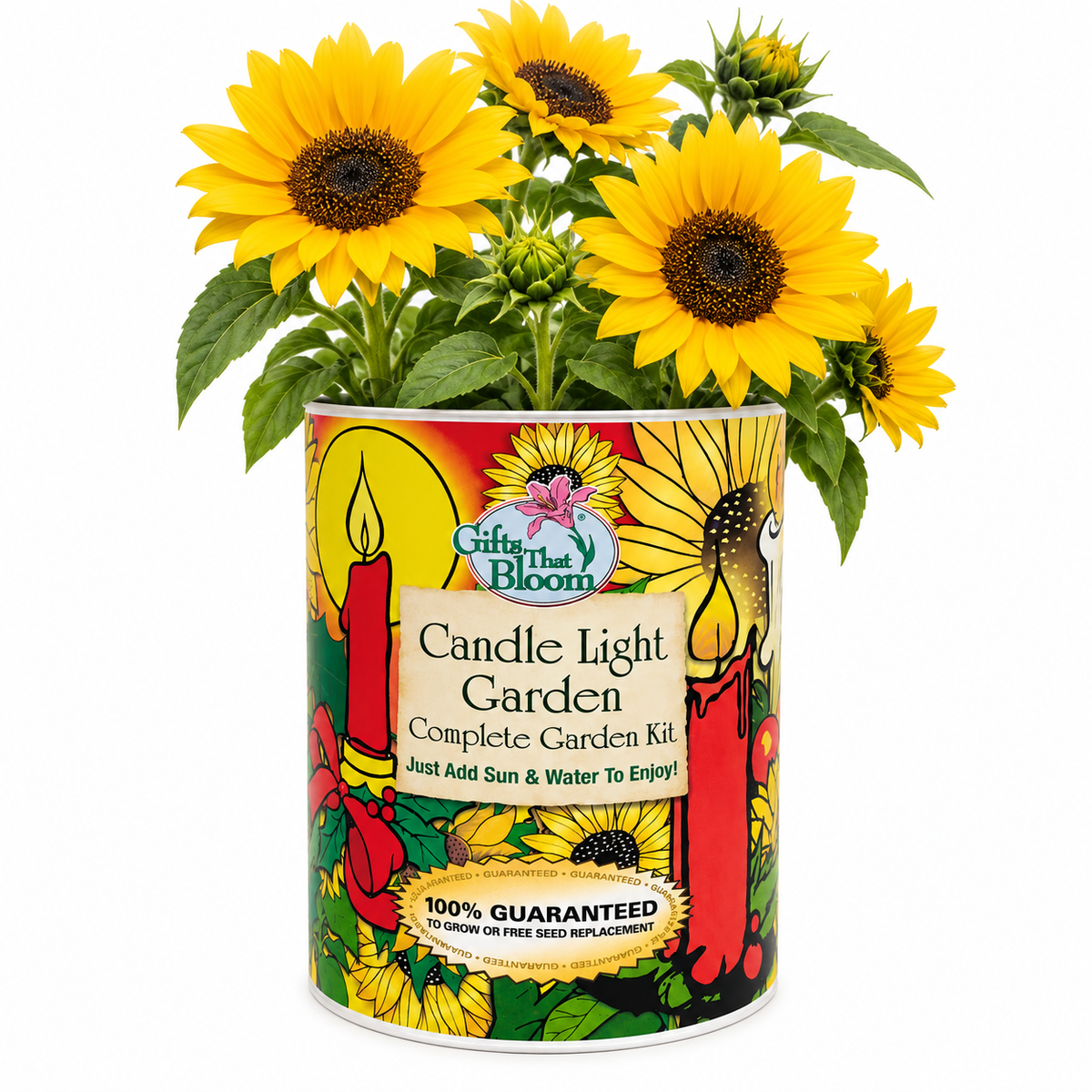 Candle Light Garden Grocan Seed kit