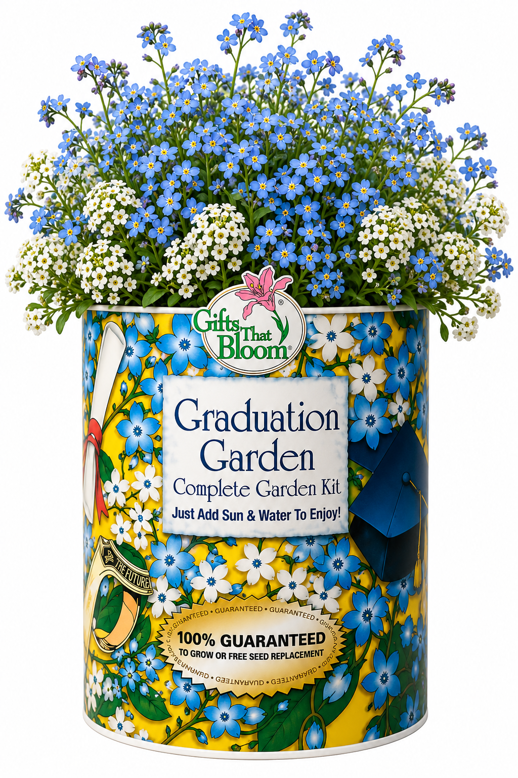 Graduation Garden Grocan Seed Kit
