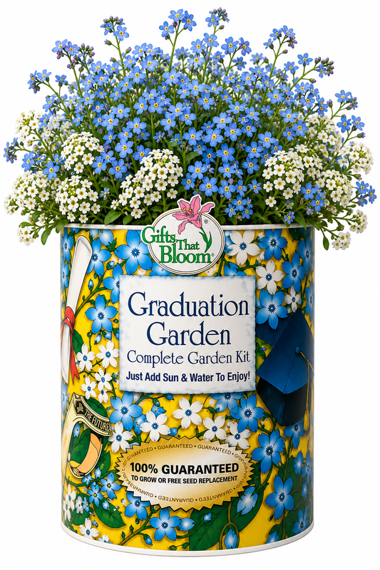 Graduation Garden Grocan Seed Kit