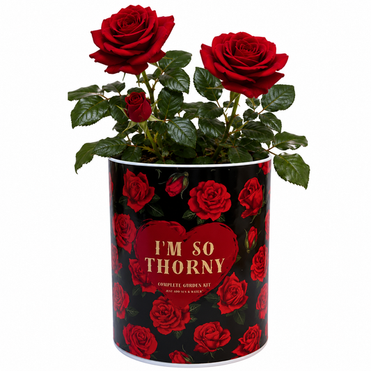 I'm So Thorny Garden Grocan Seed Kit