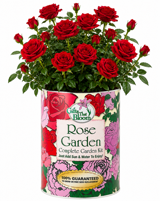 Rose Garden Grocan Seed Kit