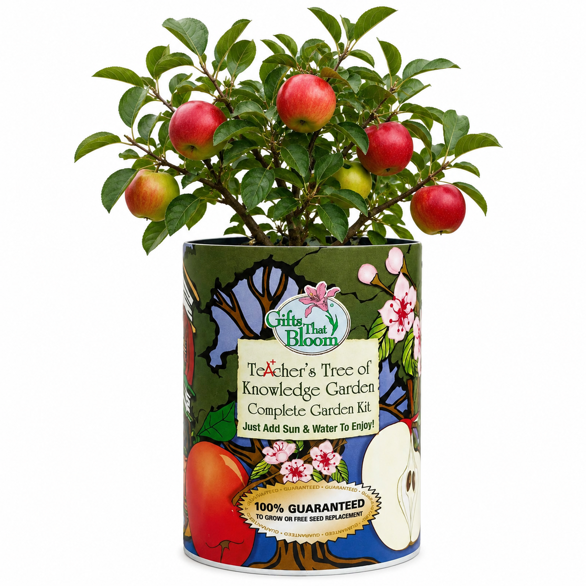 Teacher's Tree of Knowledge Garden Grocan Seed Kit