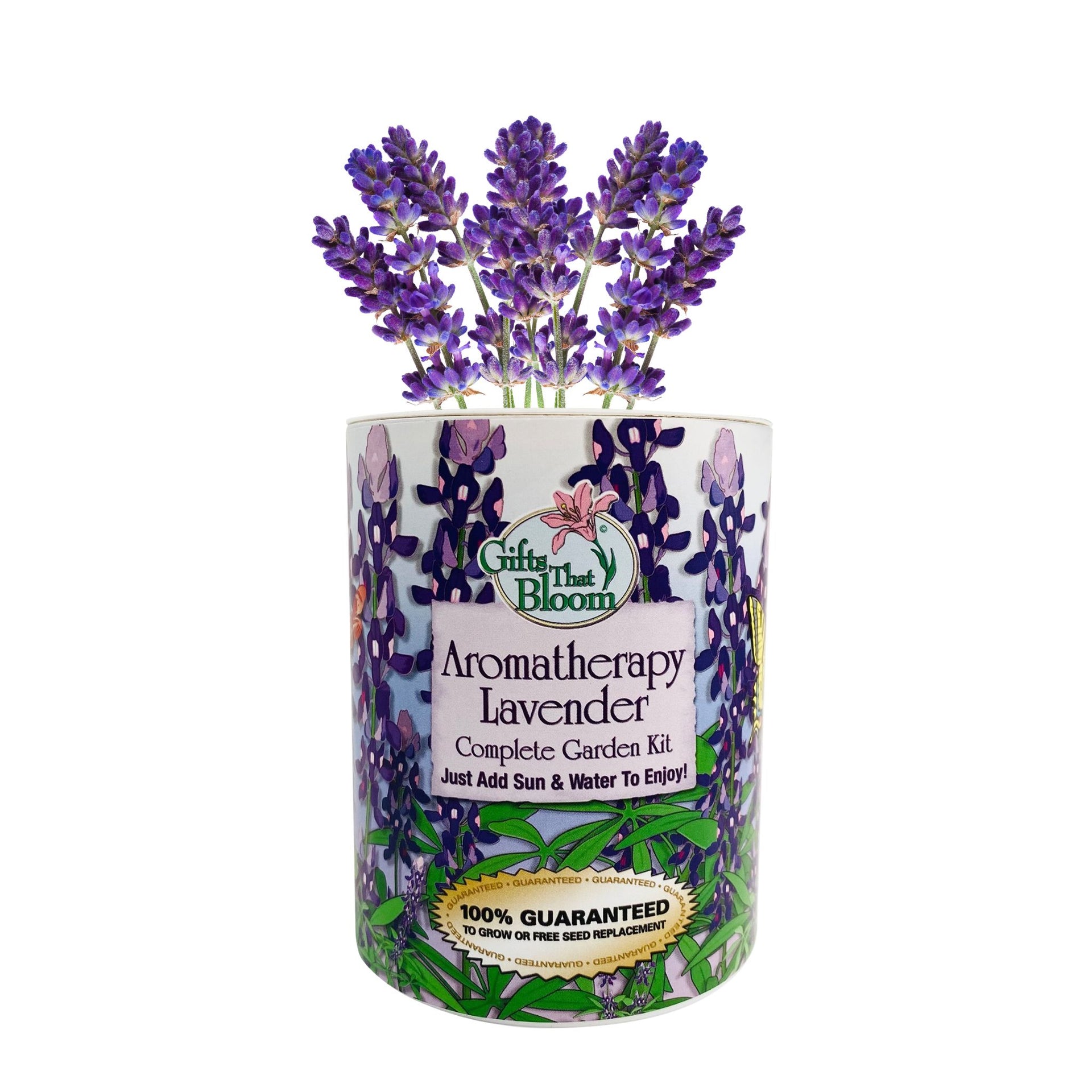lavender flower garden kit Gifts That Bloom Alavgc Aromatherapy Lavender Garden Grocan