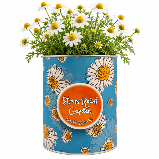 Stress Relief Garden Grocan Seed Kit