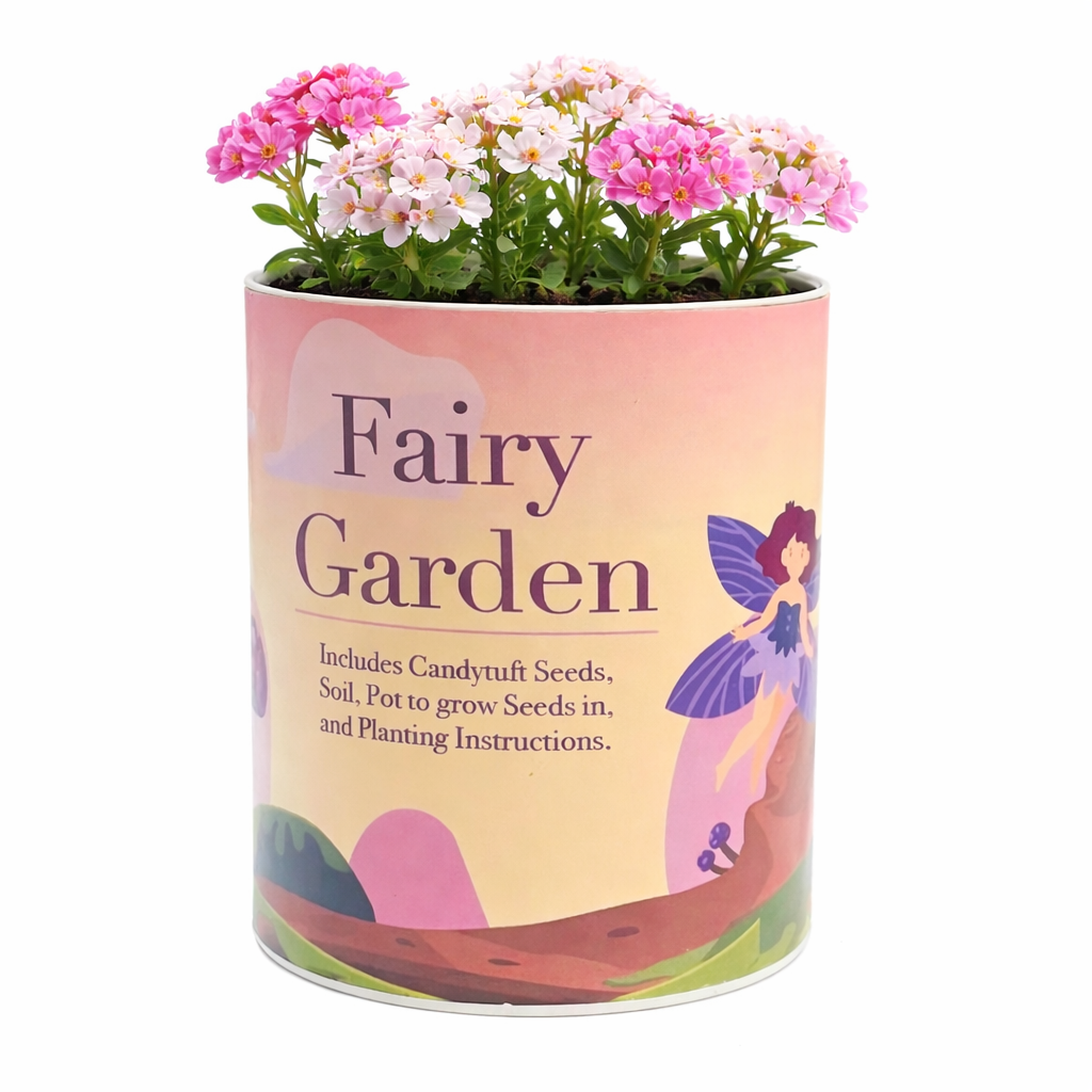 Fairy Garden Grocan Seed Kit