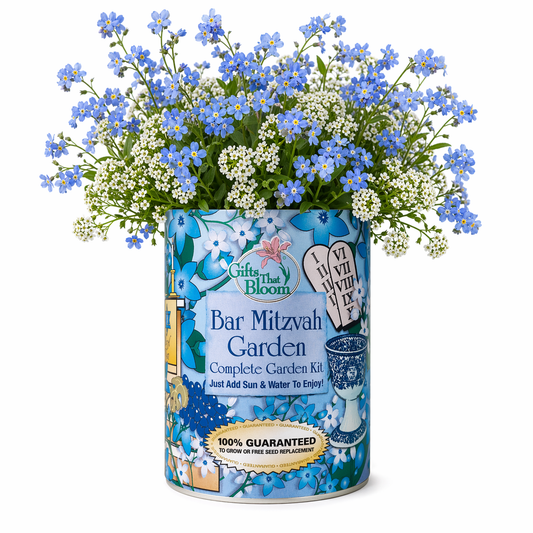 Bar Mitzvah Garden Grocan Seed Kit