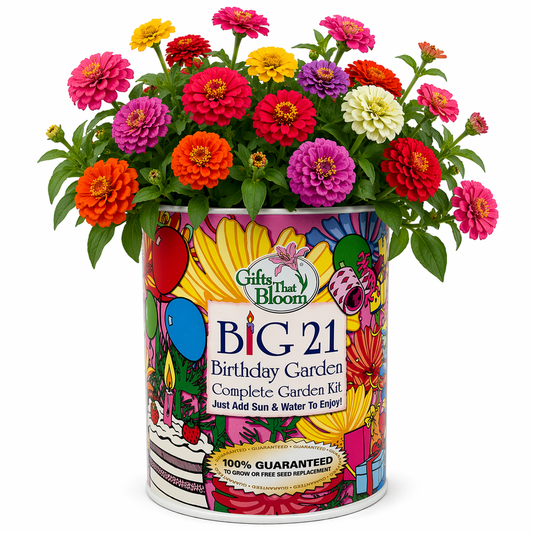 Big 21 Birthday Garden Grocan Seed Kit