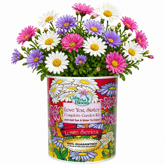 Love You  Sister Garden Grocan Seed Kit