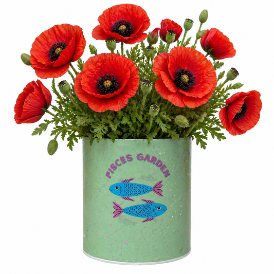 Pisces Zodiac Garden Grocan Seed Kit