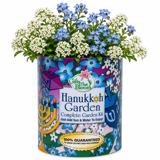 Hanukkah Garden Grocan Seed Kit