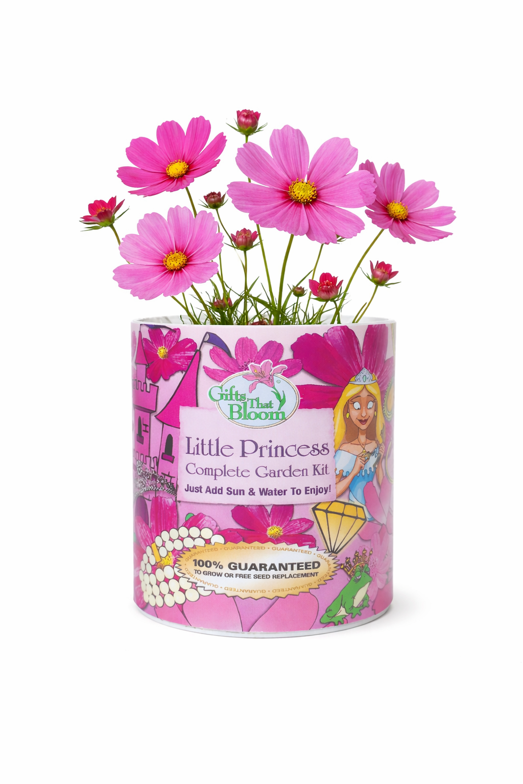 Little Princess Garden Grocan Seed Kit