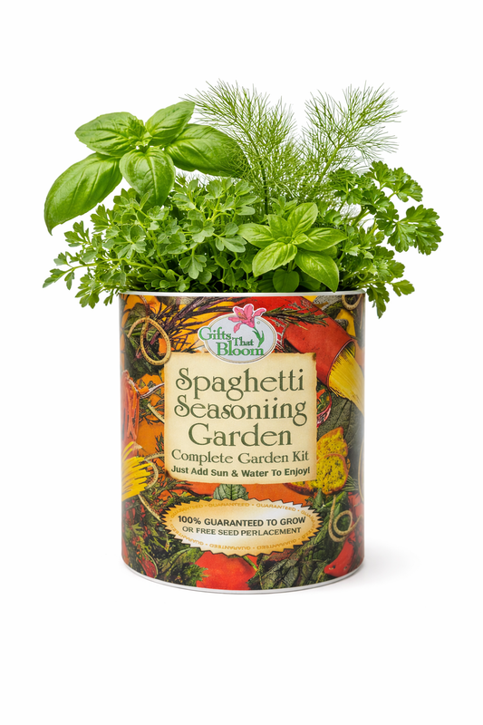 Spaghetti Seasoning Garden Grocan Seed Kit