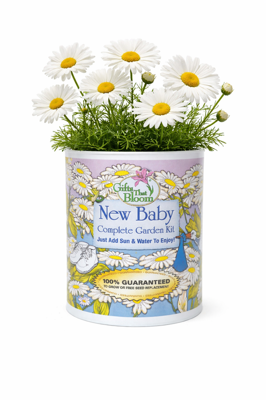 New Baby Garden Grocan Seed Kit