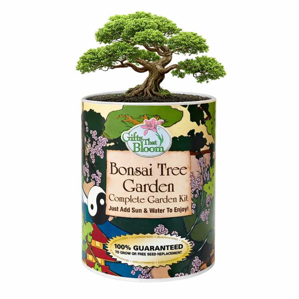 Bonsai Tree Garden Grocan Seed kit