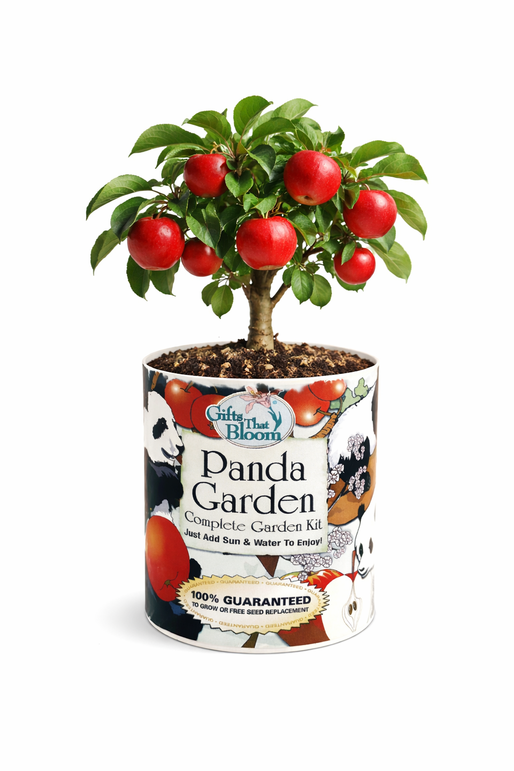 Panda Garden Grocan Seed Kit