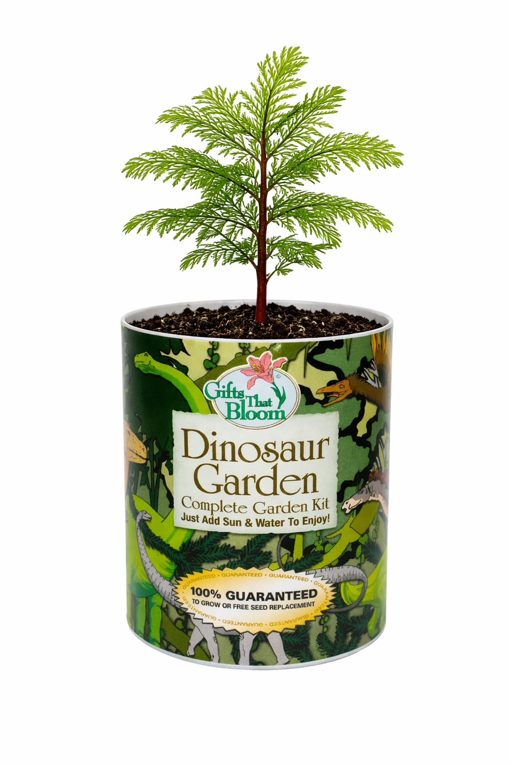 Dinosaur Garden Grocan Seed Kit
