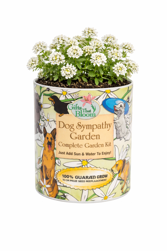 Dog Sympathy Garden Grocan Seed Kit
