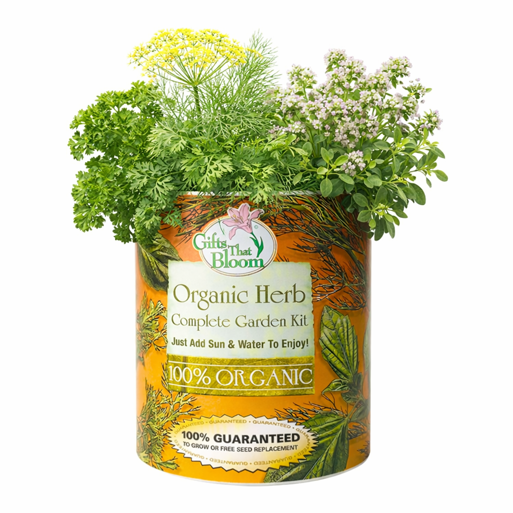 Organic Herb Garden Grocan Seed Kit