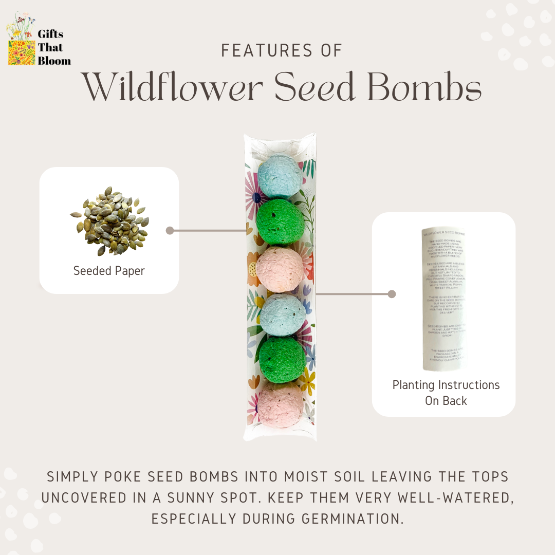 Seeds Bombs With Pumpkin Background