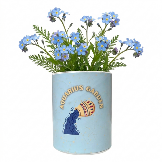 Aquarius Zodiac Garden Grocan Seed Kit