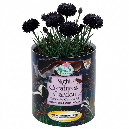 Night Creatures Garden Grocan Seed Kit