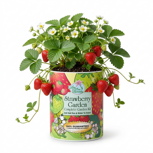 Strawberry Garden Grocan Seed Kit