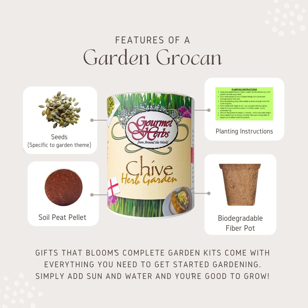 Dinosaur Garden Grocan Seed Kit