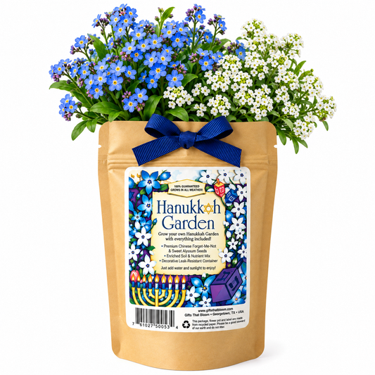 Hanukkah Garden Grobag Seed Kit
