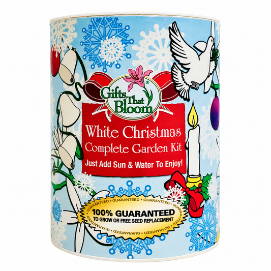 White Christmas Garden Grocan Seed Kit