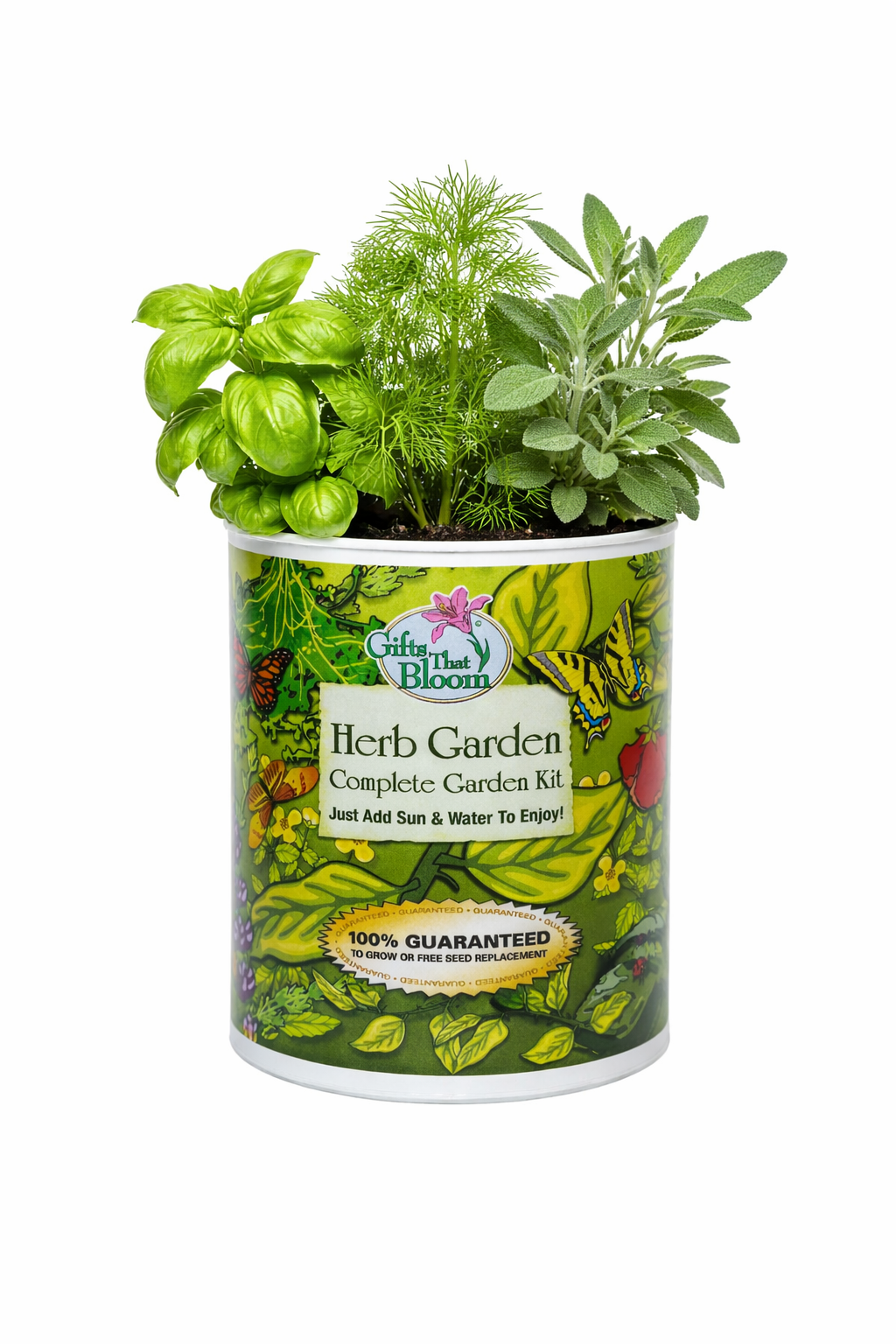 Herb Garden Grocan Seed Kit