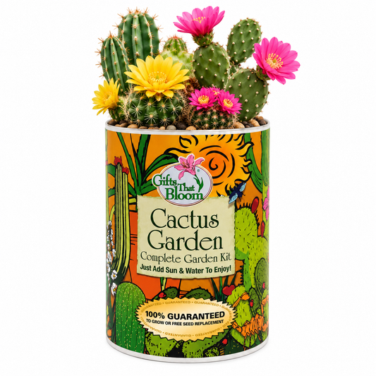 Cactus Garden Grocan Seed Kit