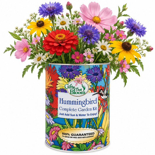 Hummingbird Garden Grocan Seed Kit