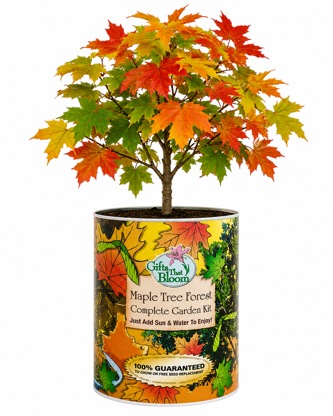 Maple Tree Garden Grocan Seed Kit
