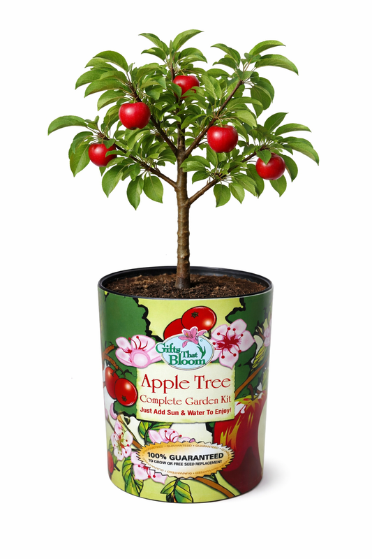 Apple Tree Garden Grocan Seed Kit