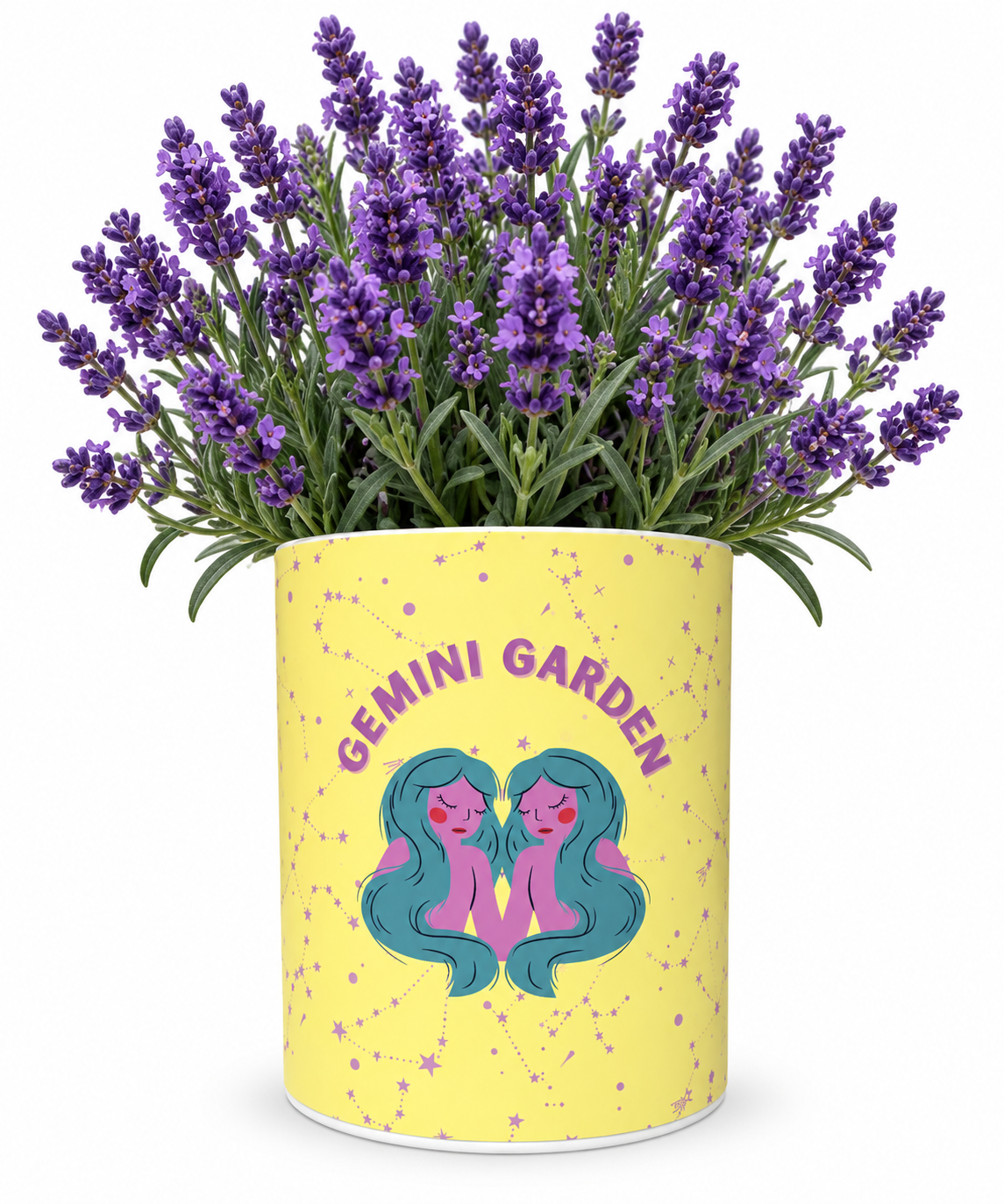 Gemini Zodiac Garden Grocan Seed Kit