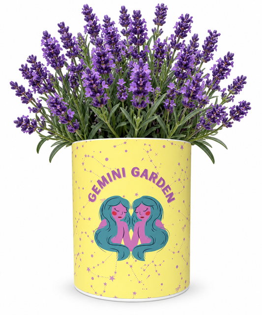 Gemini Zodiac Garden Grocan Seed Kit