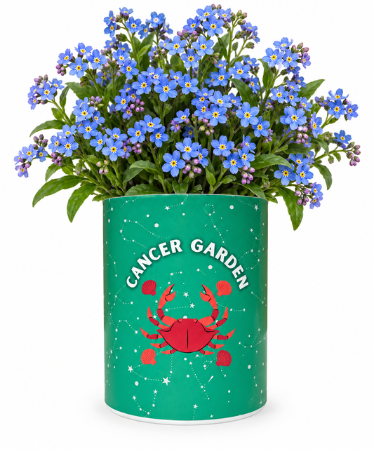 Cancer Zodiac Garden Grocan Seed Kit