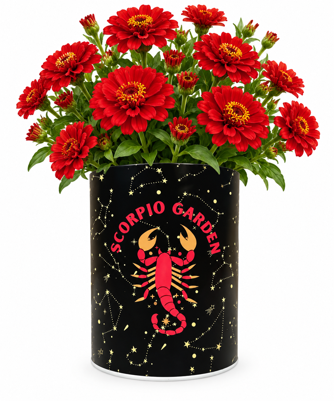 Scorpio Zodiac Garden Grocan Seed Kit