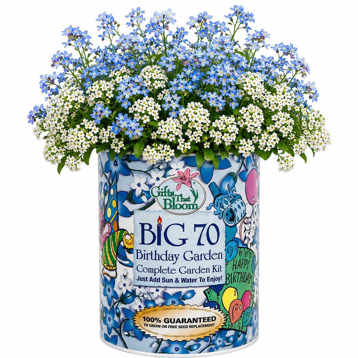 Big 70 Birthday Garden Grocan Seed Kit