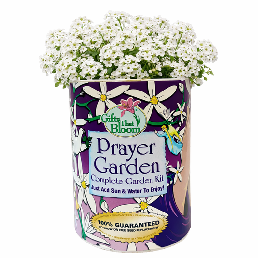 Prayer Garden Grocan Seed Kit