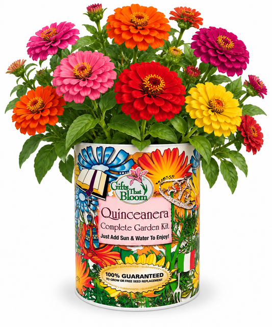 Quinceañera Garden Grocan Seed Kit