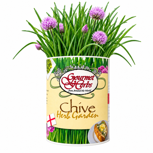 Chive Herb Garden Grocan Seed Kit