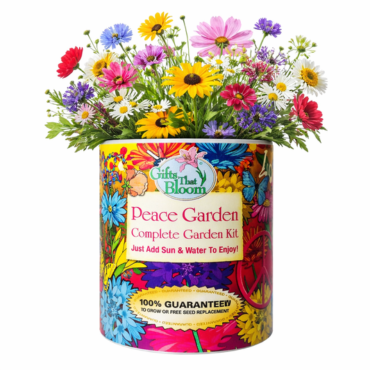 Peace Garden Grocan Seed Kit