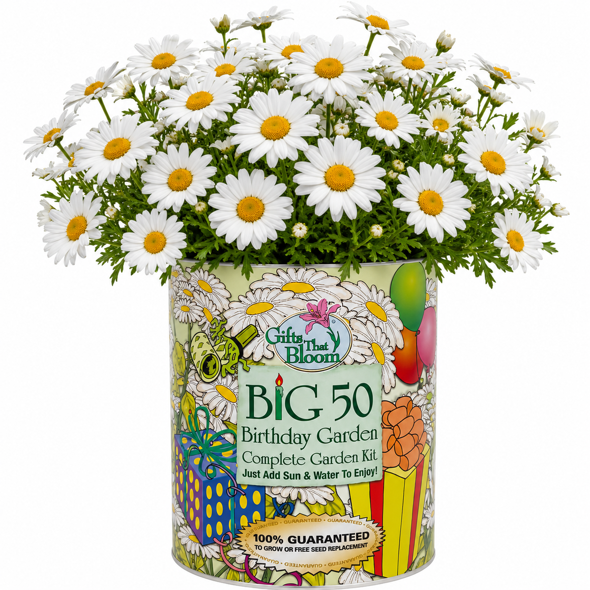 Big 50 Birthday Garden Grocan Seed Kit